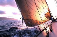 sailing business